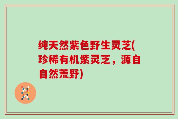 纯天然紫色野生灵芝(珍稀有机紫灵芝，源自自然荒野)