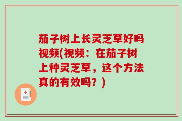 茄子树上长灵芝草好吗视频(视频：在茄子树上种灵芝草，这个方法真的有效吗？)