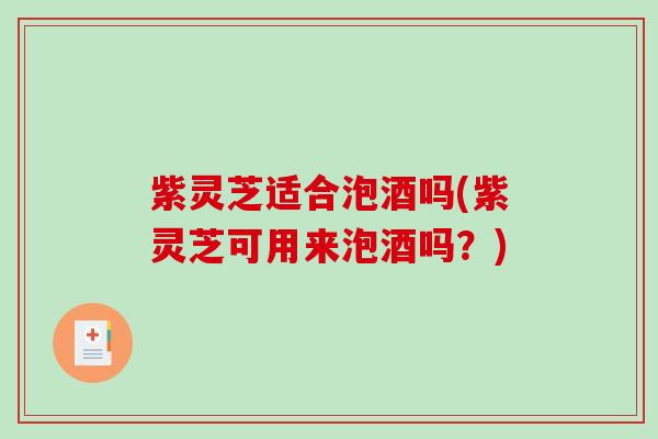 紫灵芝适合泡酒吗(紫灵芝可用来泡酒吗？)