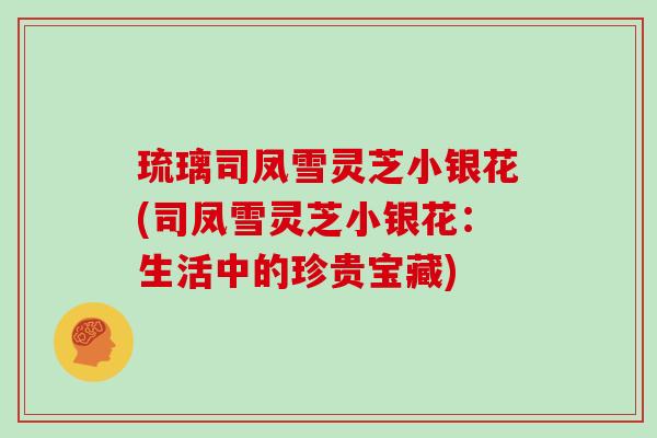 琉璃司凤雪灵芝小银花(司凤雪灵芝小银花：生活中的珍贵宝藏)