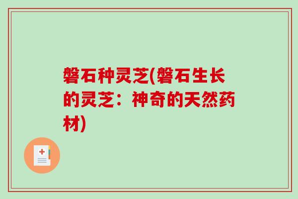 磐石种灵芝(磐石生长的灵芝：神奇的天然药材)
