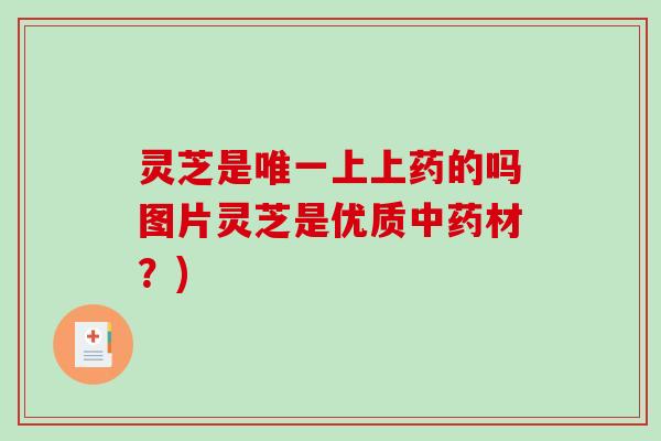 灵芝是上上药的吗图片灵芝是优质材？)