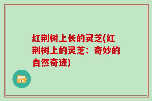 红荆树上长的灵芝(红荆树上的灵芝：奇妙的自然奇迹)