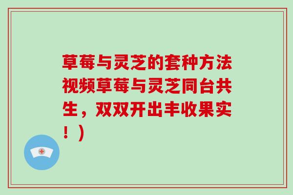 草莓与灵芝的套种方法视频草莓与灵芝同台共生，双双开出丰收果实！)