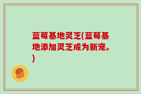 蓝莓基地灵芝(蓝莓基地添加灵芝成为新宠。)