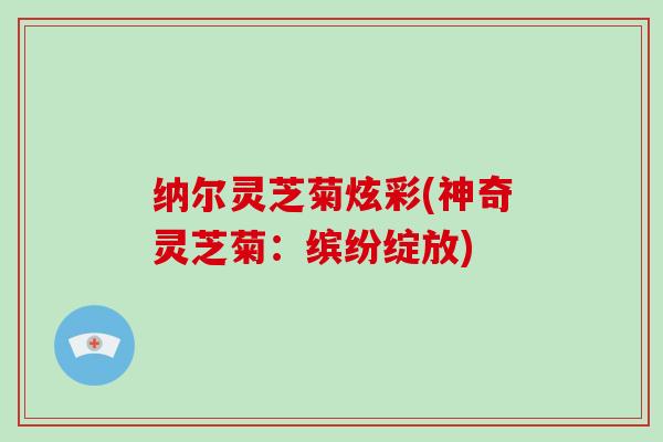 纳尔灵芝菊炫彩(神奇灵芝菊：缤纷绽放)