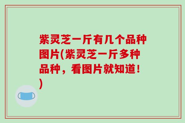紫灵芝一斤有几个品种图片(紫灵芝一斤多种品种，看图片就知道！)