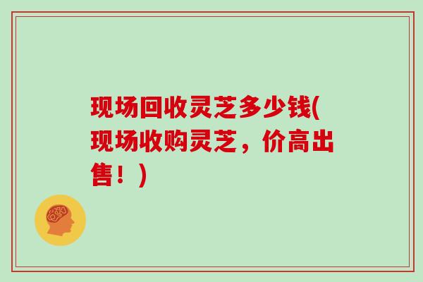 现场回收灵芝多少钱(现场收购灵芝，价高出售！)