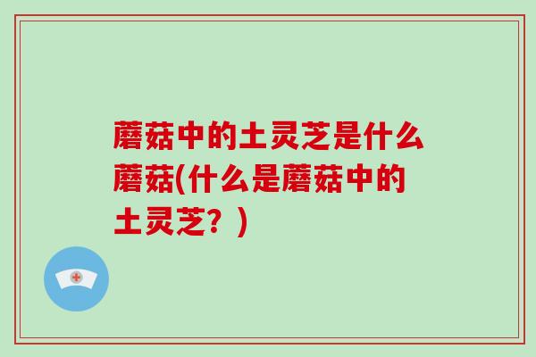 蘑菇中的土灵芝是什么蘑菇(什么是蘑菇中的土灵芝？)