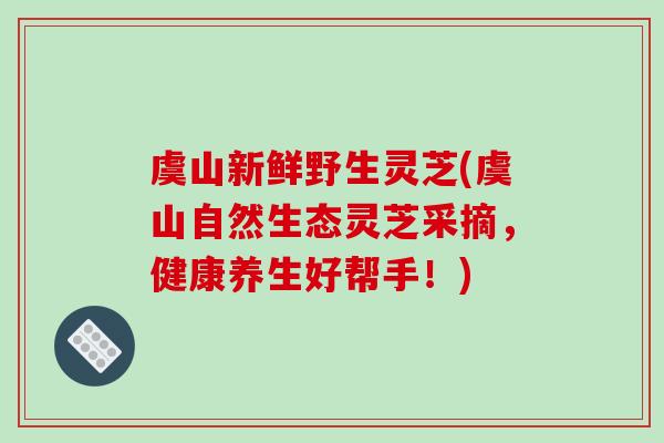 虞山新鲜野生灵芝(虞山自然生态灵芝采摘，健康养生好帮手！)