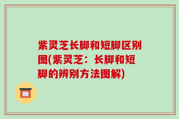 紫灵芝长脚和短脚区别图(紫灵芝：长脚和短脚的辨别方法图解)