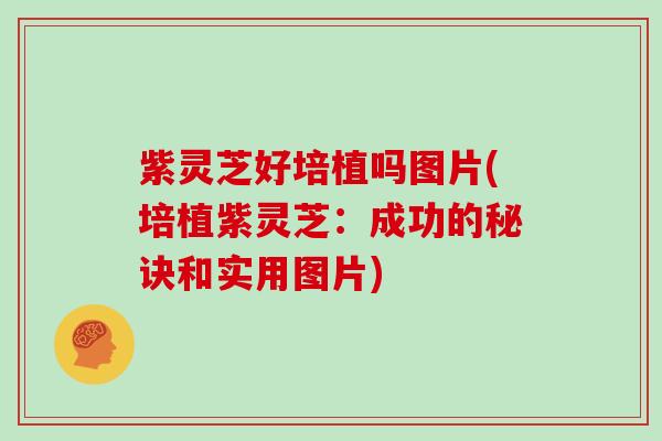 紫灵芝好培植吗图片(培植紫灵芝：成功的秘诀和实用图片)