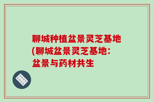 聊城种植盆景灵芝基地(聊城盆景灵芝基地：盆景与药材共生