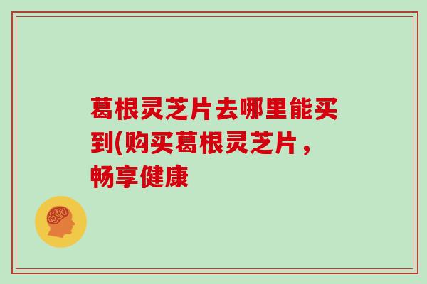 葛根灵芝片去哪里能买到(购买葛根灵芝片，畅享健康