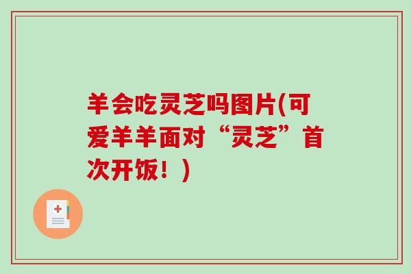 羊会吃灵芝吗图片(可爱羊羊面对“灵芝”首次开饭！)