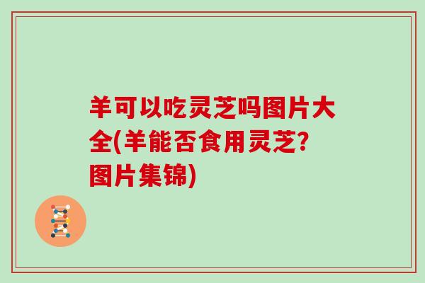 羊可以吃灵芝吗图片大全(羊能否食用灵芝？图片集锦)