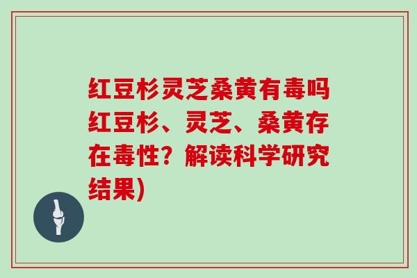 红豆杉灵芝桑黄有毒吗红豆杉、灵芝、桑黄存在毒性？解读科学研究结果)