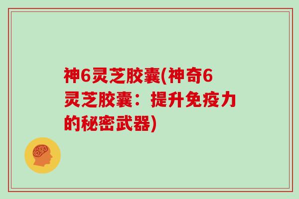 神6灵芝胶囊(神奇6灵芝胶囊：提升免疫力的秘密武器)