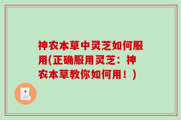 神农本草中灵芝如何服用(正确服用灵芝：神农本草教你如何用！)