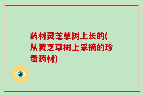 药材灵芝草树上长的(从灵芝草树上采摘的珍贵药材)