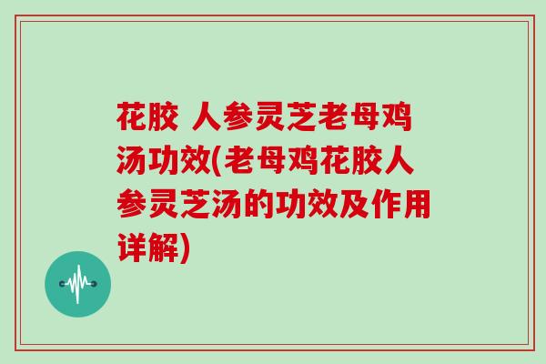 花胶 人参灵芝老母鸡汤功效(老母鸡花胶人参灵芝汤的功效及作用详解)