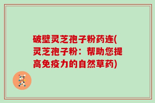 破壁灵芝孢子粉药连(灵芝孢子粉：帮助您提高免疫力的自然草药)