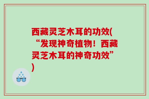 西藏灵芝木耳的功效(“发现神奇植物！西藏灵芝木耳的神奇功效”)