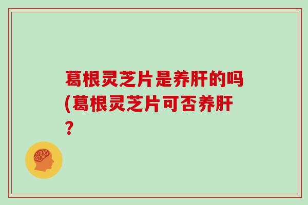 葛根灵芝片是养的吗(葛根灵芝片可否养？
