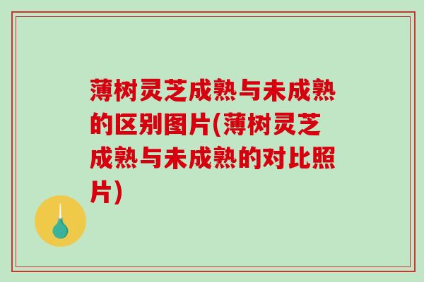 薄树灵芝成熟与未成熟的区别图片(薄树灵芝成熟与未成熟的对比照片)