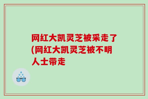 网红大凯灵芝被采走了(网红大凯灵芝被不明人士带走