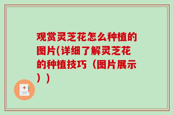 观赏灵芝花怎么种植的图片(详细了解灵芝花的种植技巧（图片展示）)