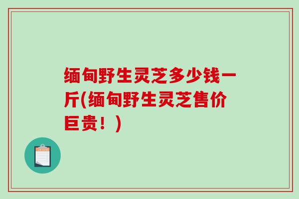 缅甸野生灵芝多少钱一斤(缅甸野生灵芝售价巨贵！)