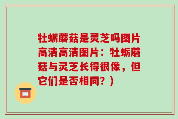 牡蛎蘑菇是灵芝吗图片高清高清图片：牡蛎蘑菇与灵芝长得很像，但它们是否相同？)