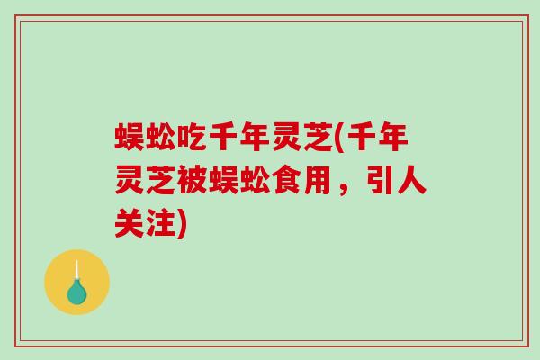 蜈蚣吃千年灵芝(千年灵芝被蜈蚣食用，引人关注)