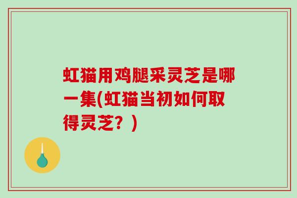 虹猫用鸡腿采灵芝是哪一集(虹猫当初如何取得灵芝？)