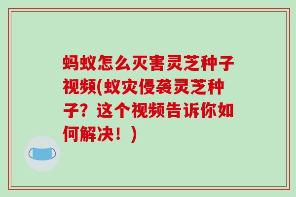 蚂蚁怎么灭害灵芝种子视频(蚁灾侵袭灵芝种子？这个视频告诉你如何解决！)