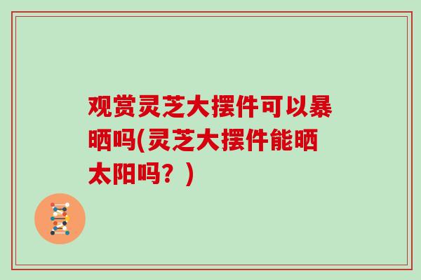 观赏灵芝大摆件可以暴晒吗(灵芝大摆件能晒太阳吗？)