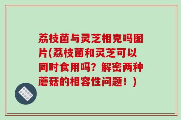 荔枝菌与灵芝相克吗图片(荔枝菌和灵芝可以同时食用吗？解密两种蘑菇的相容性问题！)