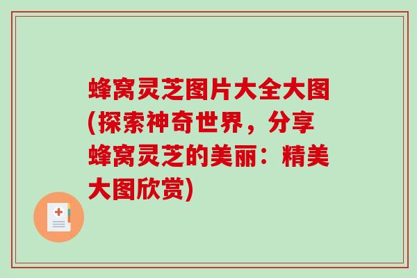 蜂窝灵芝图片大全大图(探索神奇世界，分享蜂窝灵芝的美丽：精美大图欣赏)