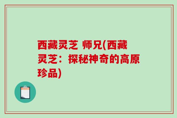 西藏灵芝 师兄(西藏灵芝：探秘神奇的高原珍品)