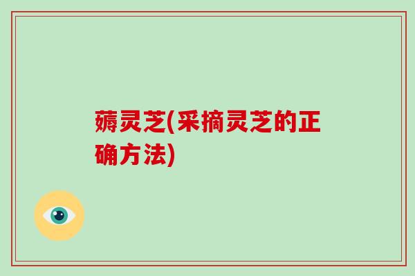 薅灵芝(采摘灵芝的正确方法)
