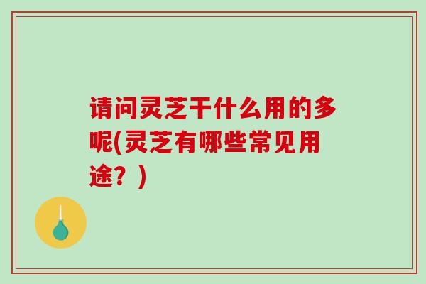 请问灵芝干什么用的多呢(灵芝有哪些常见用途？)