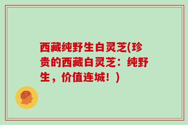 西藏纯野生白灵芝(珍贵的西藏白灵芝：纯野生，价值连城！)