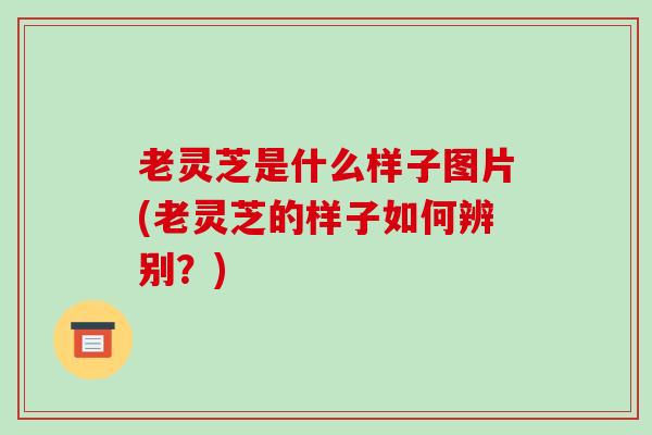 老灵芝是什么样子图片(老灵芝的样子如何辨别？)