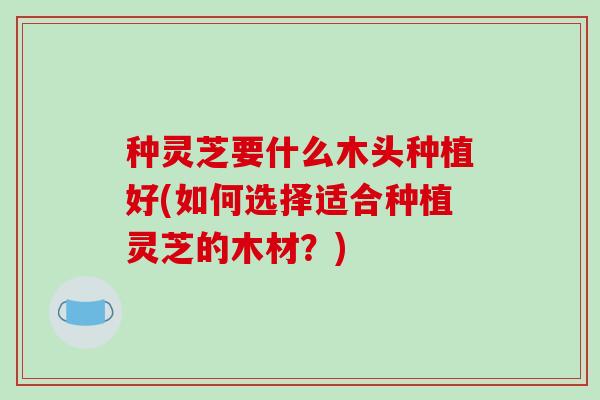 种灵芝要什么木头种植好(如何选择适合种植灵芝的木材？)