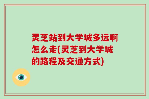 灵芝站到大学城多远啊怎么走(灵芝到大学城的路程及交通方式)