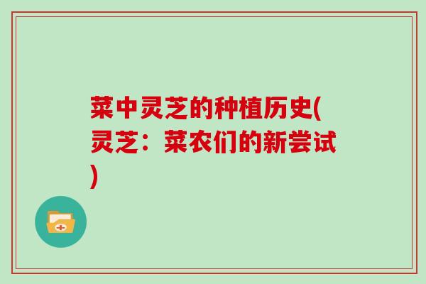 菜中灵芝的种植历史(灵芝：菜农们的新尝试)