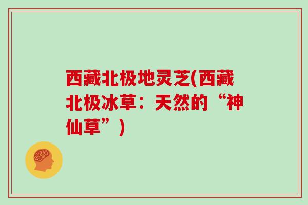 西藏北极地灵芝(西藏北极冰草：天然的“神仙草”)