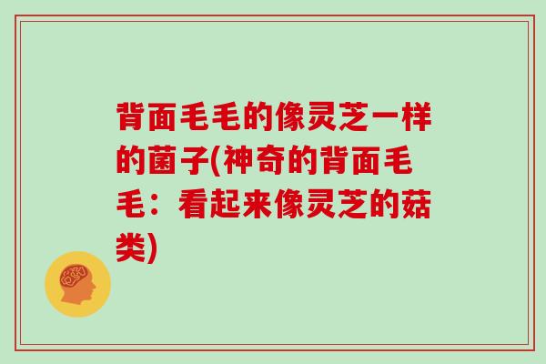 背面毛毛的像灵芝一样的菌子(神奇的背面毛毛：看起来像灵芝的菇类)