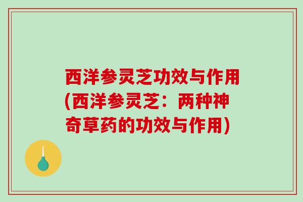 西洋参灵芝功效与作用(西洋参灵芝：两种神奇草药的功效与作用)
